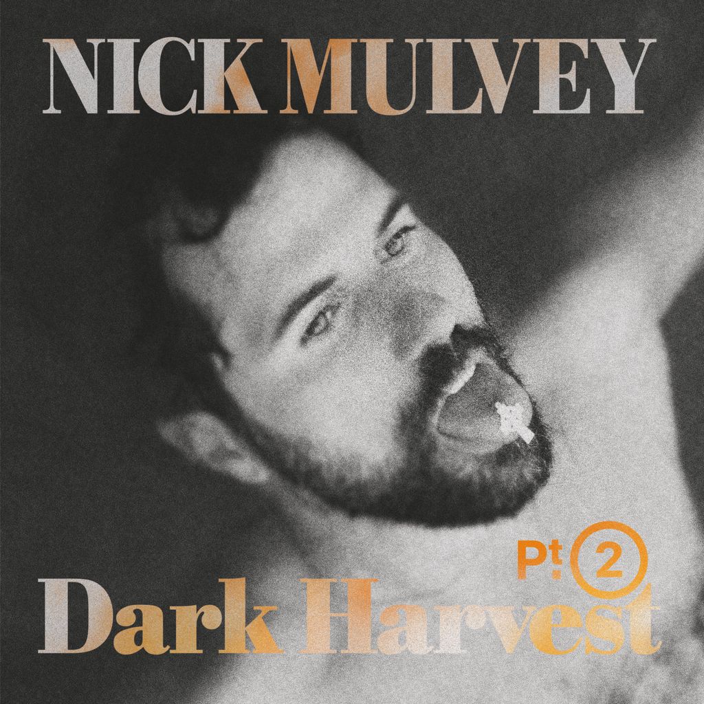 Nick Mulvey - Dark Harvest Pt 2