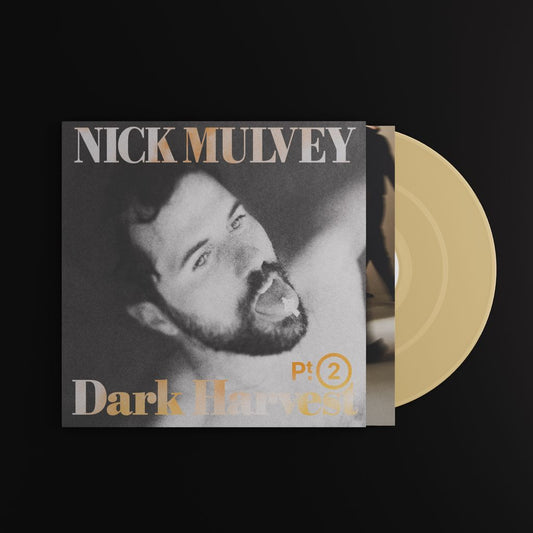 Nick Mulvey - Dark Harvest Pt 2