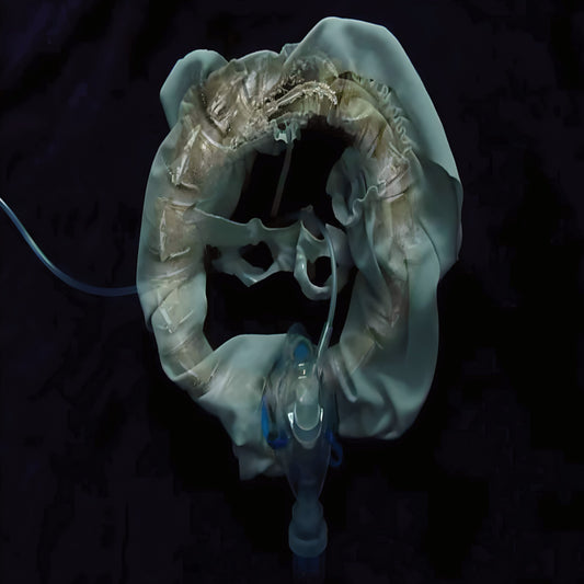 Ship Sket - InitiatriX