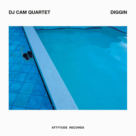 DJ Cam - Diggin (RSD22)