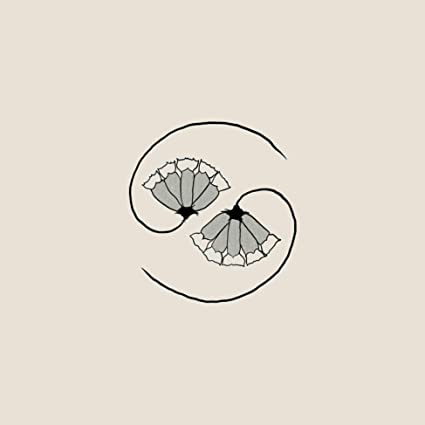 Godspeed You Black Emperor - G_d's Pee At States End